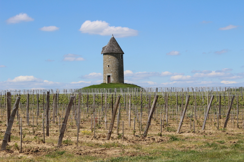 Boucle locale des moulins d'Eynesse Eynesse Nouvelle-Aquitaine