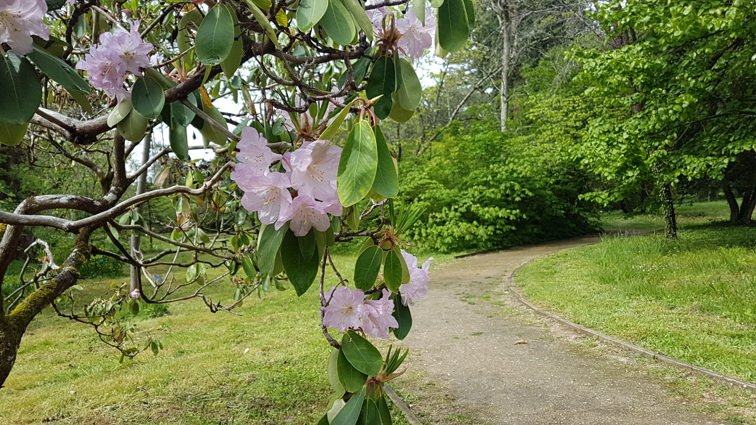 Ouverture de l'Arboretum des Barres