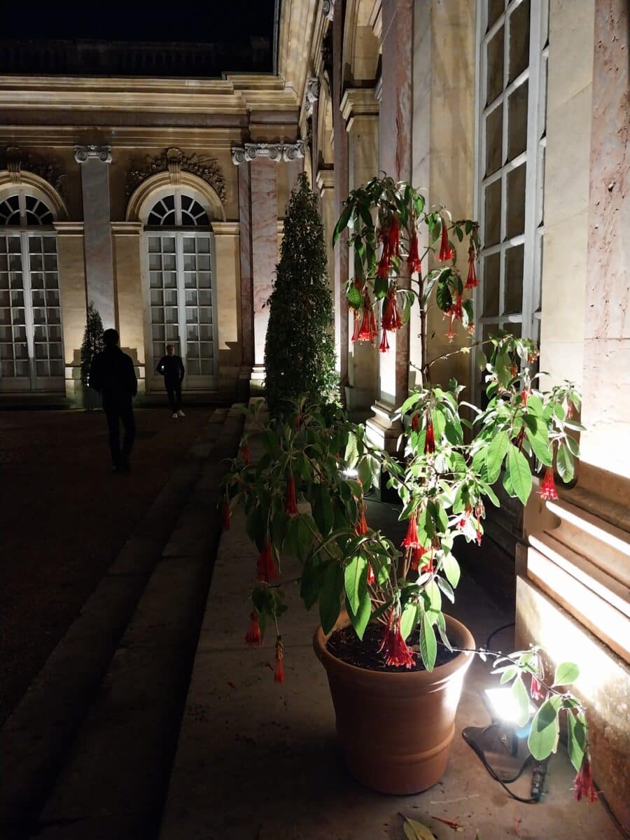 Nuit des musées Versailles