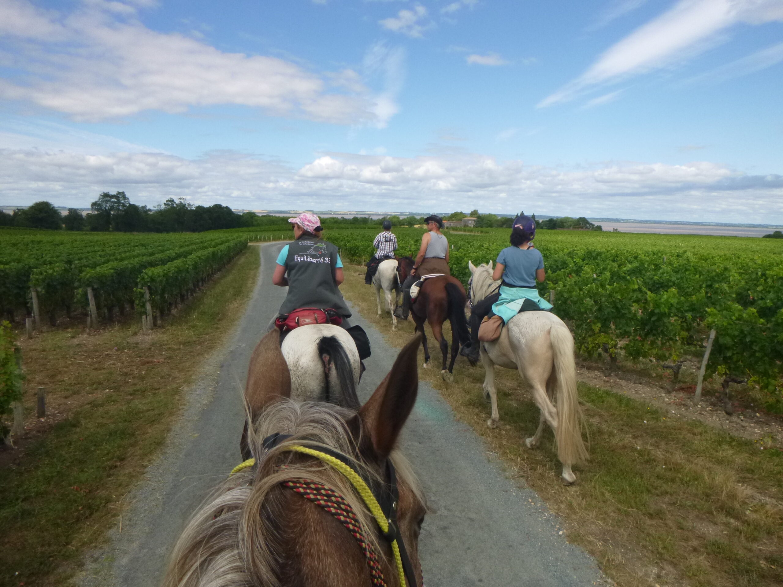 Boucle à Cheval Saint-Laurent Sud Saint-Laurent-Médoc Nouvelle-Aquitaine