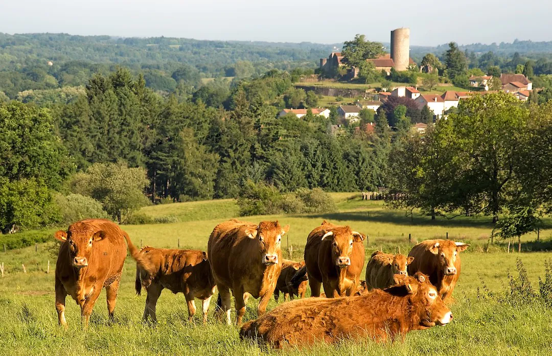 Circuit des Pinelous Châlus Nouvelle-Aquitaine