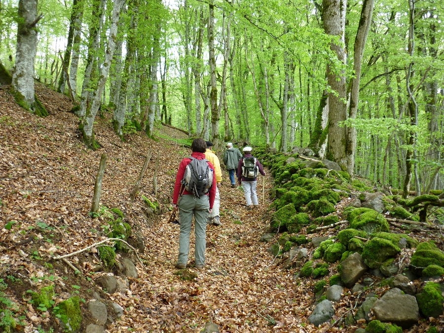 Randonnée de Mur-de-Barrez à Thérondels (et retour) Mur-de-Barrez Occitanie