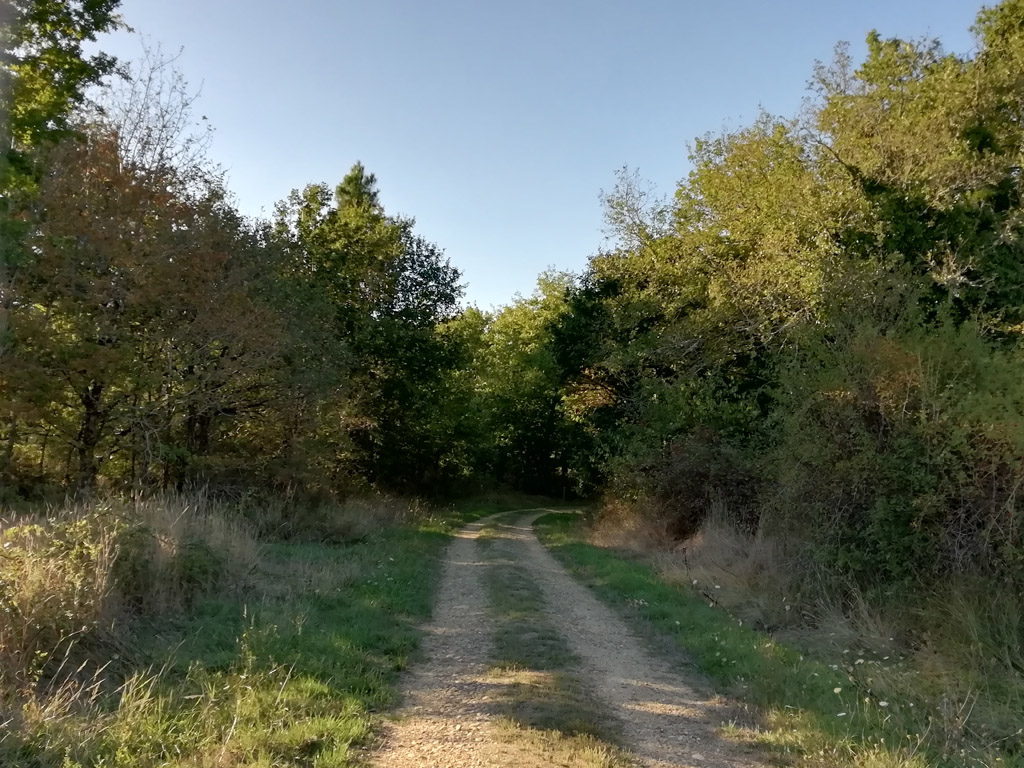 Boucle de Claud de Bled Prigonrieux Prigonrieux Nouvelle-Aquitaine