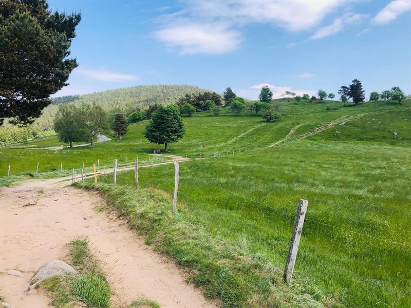 Circuit rando des pierres tremblantes en passant par le linge Orbey Grand Est