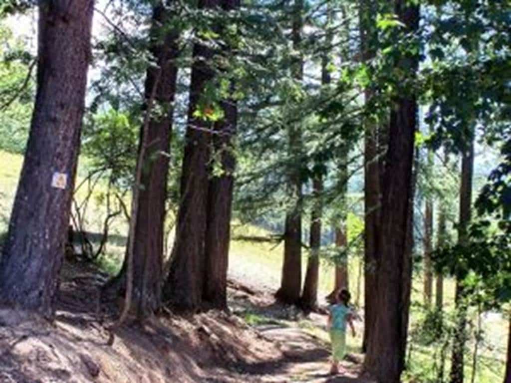 Randonnée "Circuit du Mont Malgré-Tout" Revin Grand Est