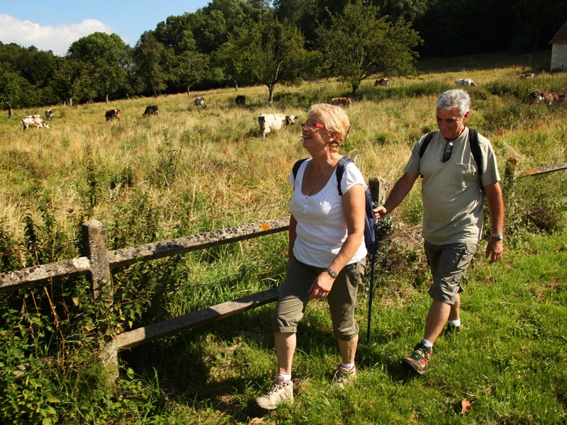 BOISSEY Aux portes du Pays d'Auge 16