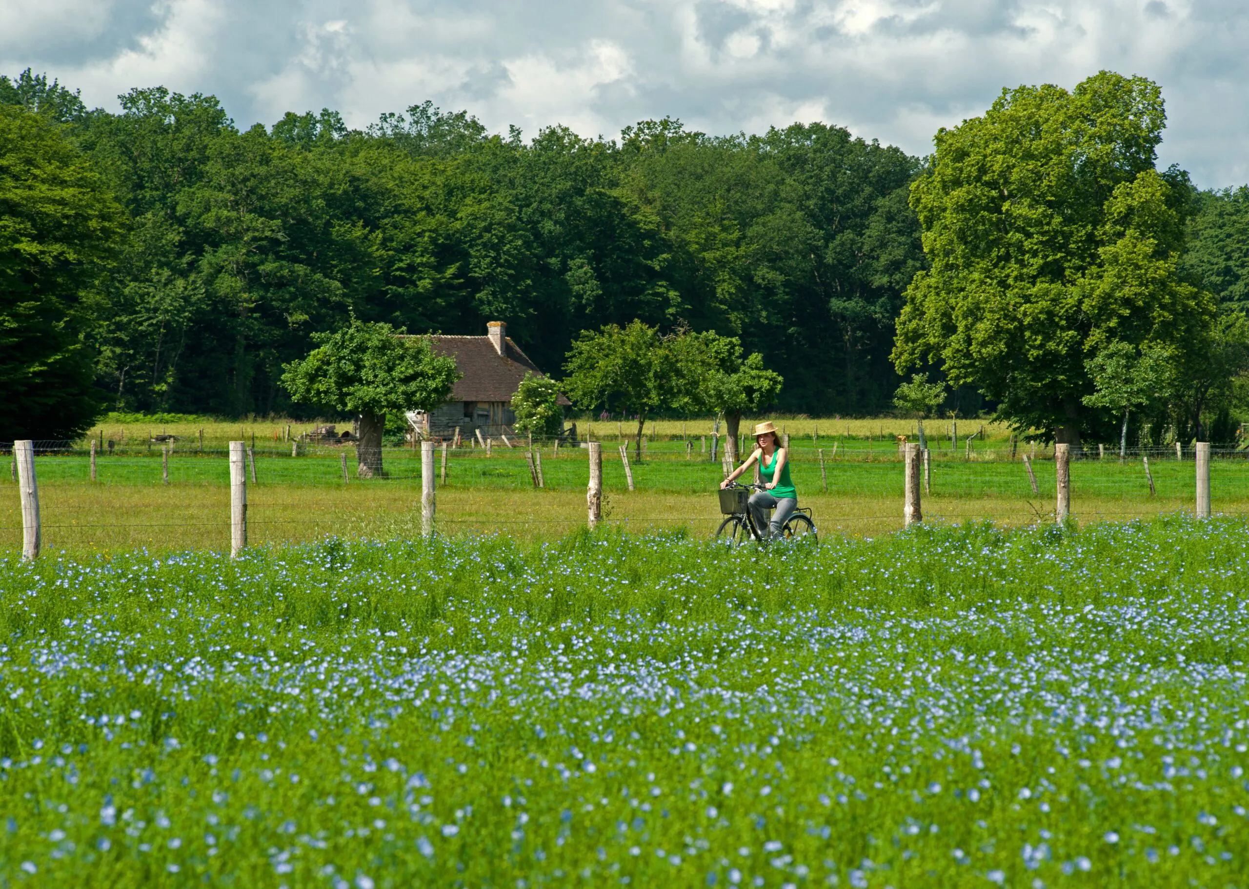 Voie verte Mézidon-Canon à Livarot Mézidon Vallée d'Auge Normandie