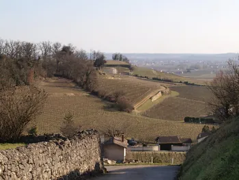 Boucle vélo: Les propriétés familiales Saint-Émilion Nouvelle-Aquitaine