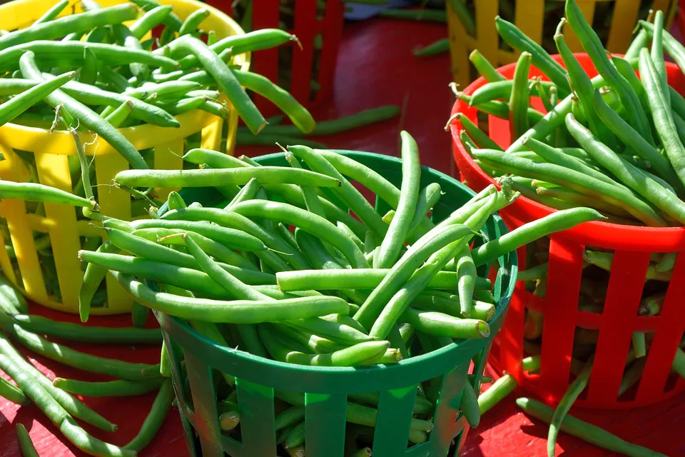 Le Petit marché à Saint-Firmin-des-Près