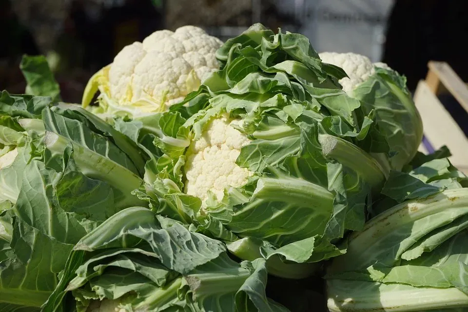 Marché de Selommes