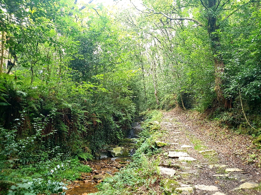 N°19 VTT À fond les vallons ! Coupiac Occitanie