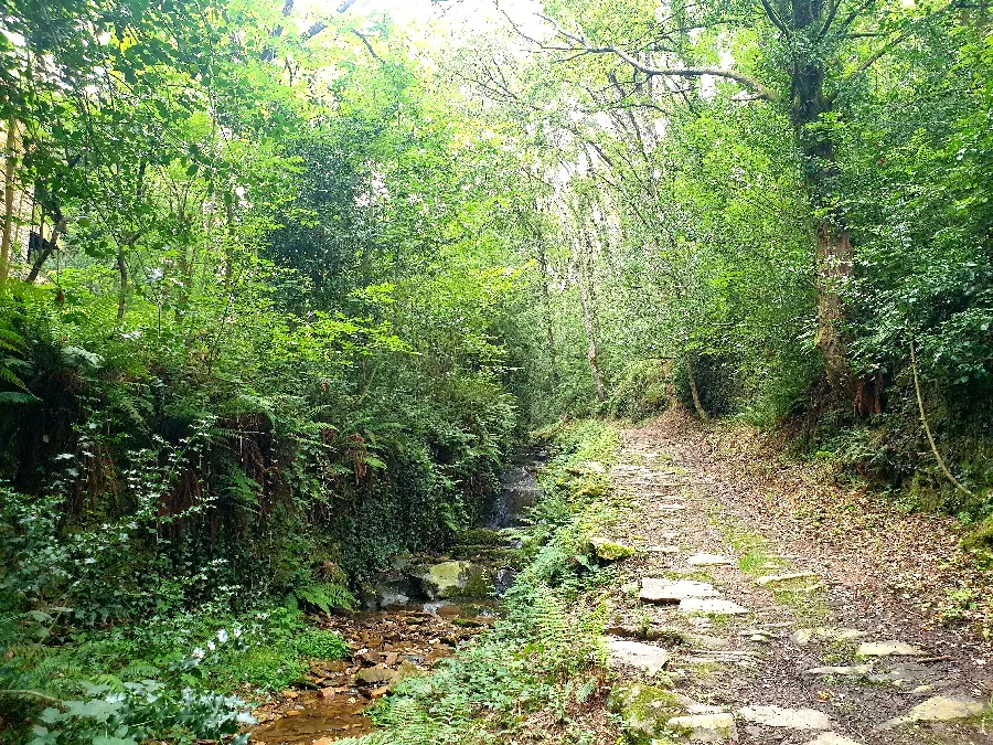 N°19 VTT À fond les vallons ! Coupiac Occitanie