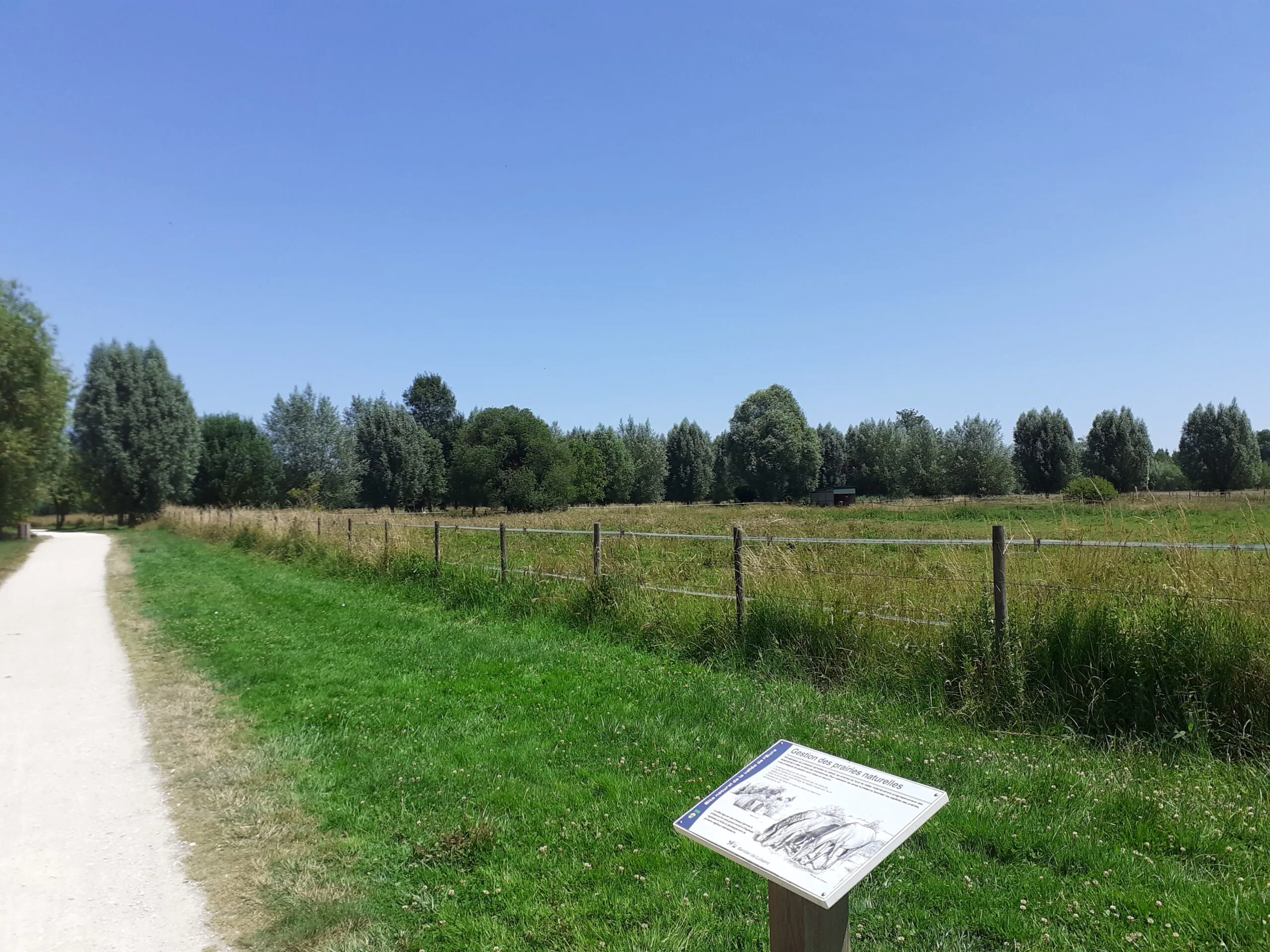 Sentier du plan d'eau de Barjouville Barjouville Centre-Val de Loire