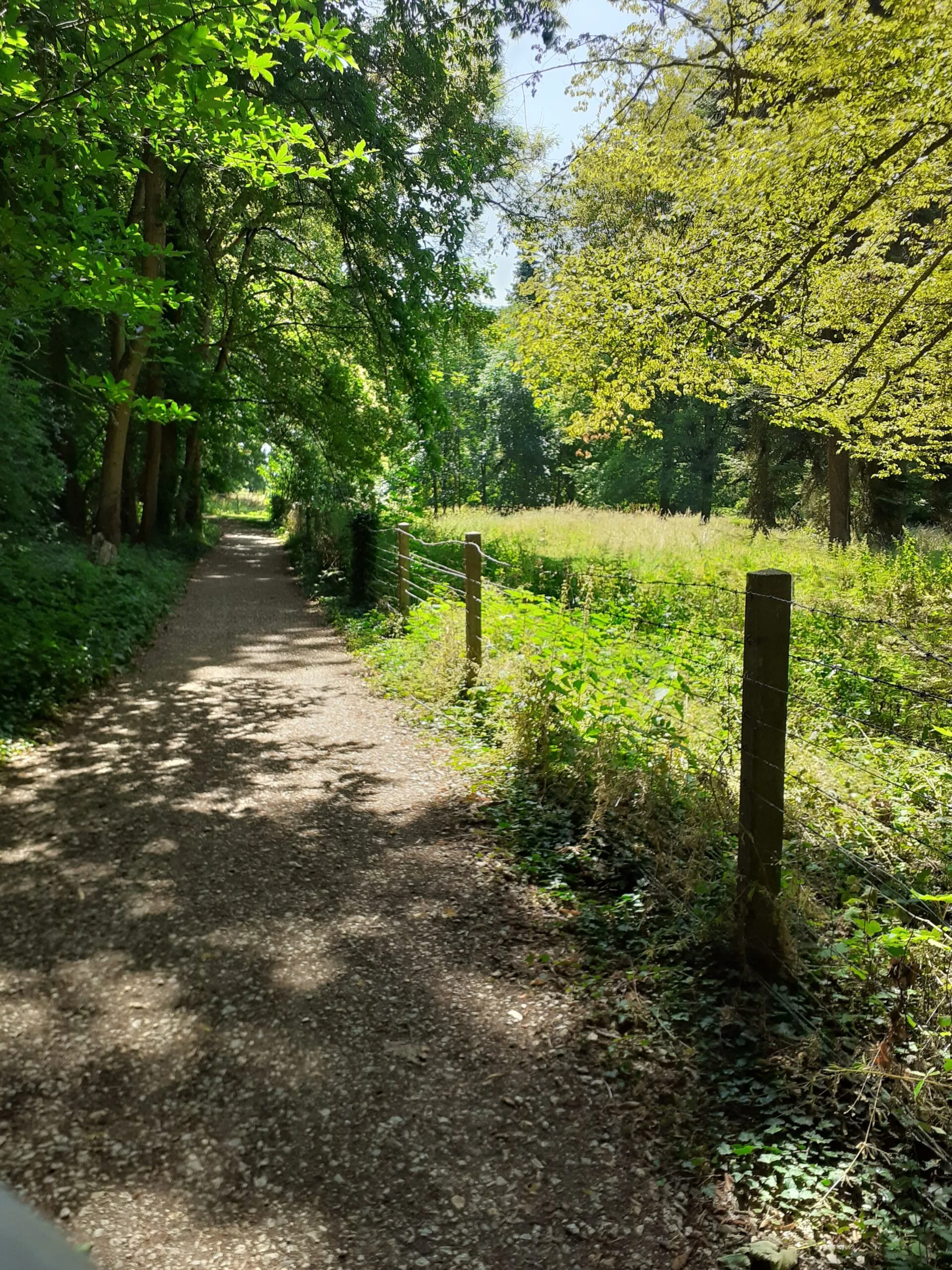 Sentier du parc de Gourdez et bois de Morancez Morancez Centre-Val de Loire