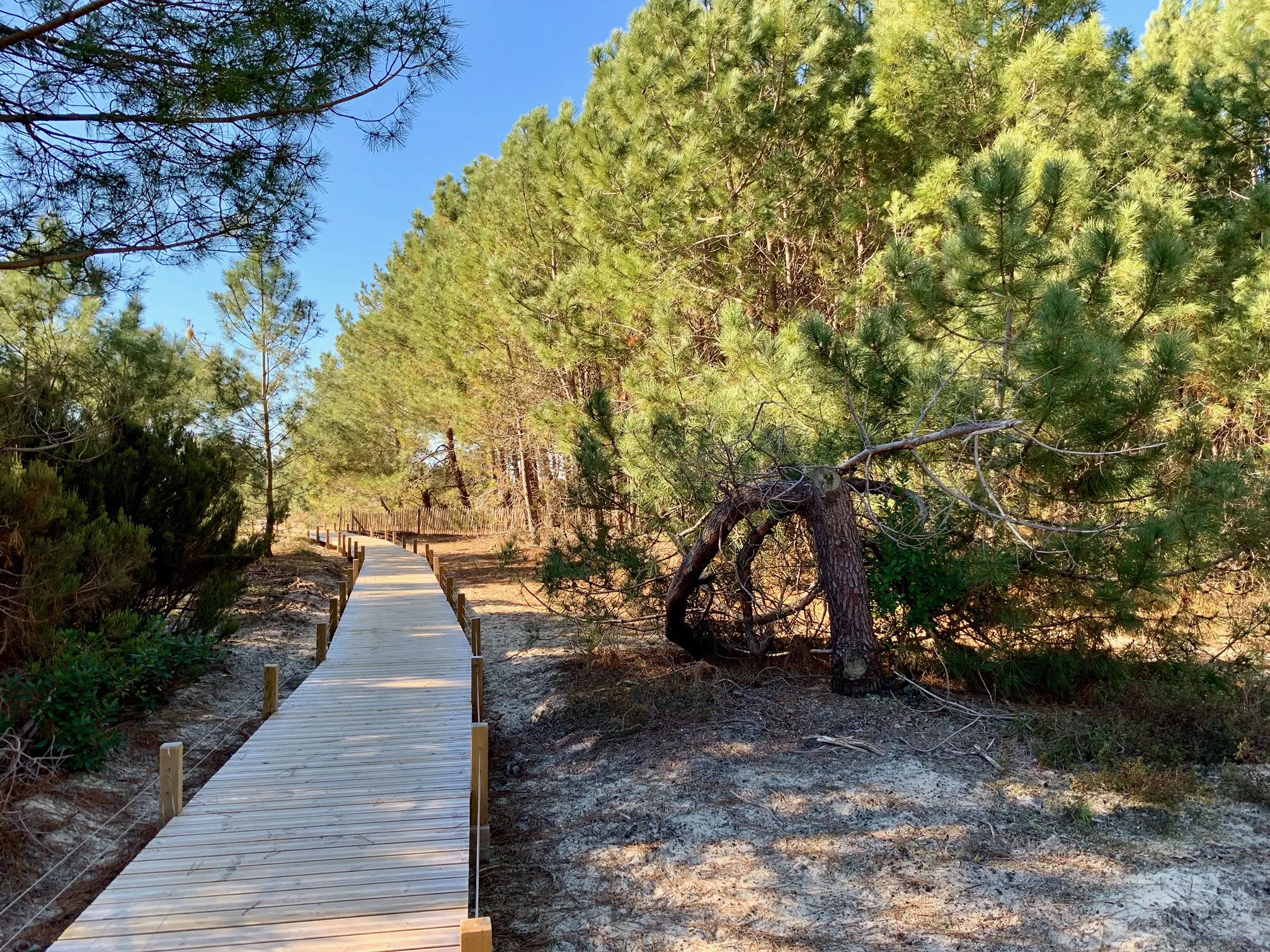 Sentier d'interprétation du vivier Biscarrosse Nouvelle-Aquitaine