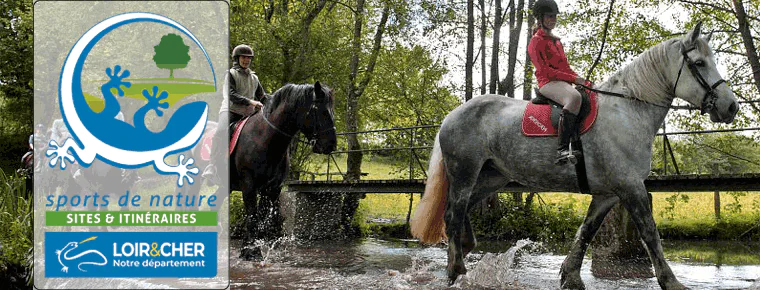 La forêt de Lamotte-Beuvron... à cheval Vouzon Centre-Val de Loire