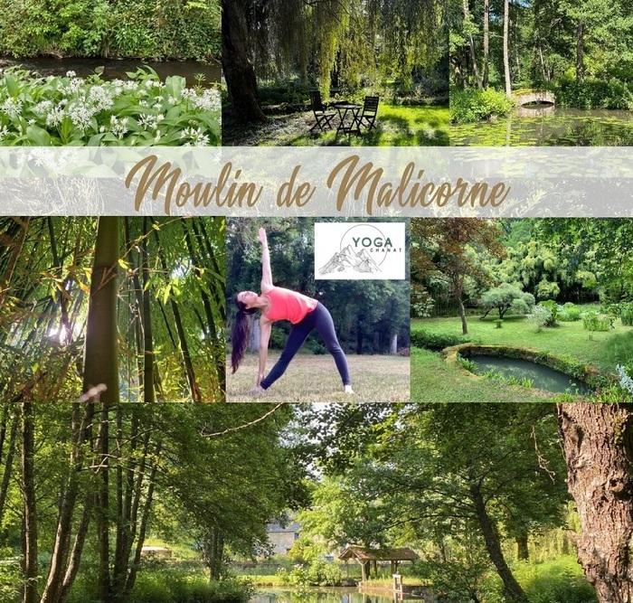 Séance de Yoga et Méditation au cœur de la zone naturelle préservée d ...