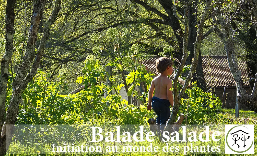 Balade salade Initiation au monde des plantes