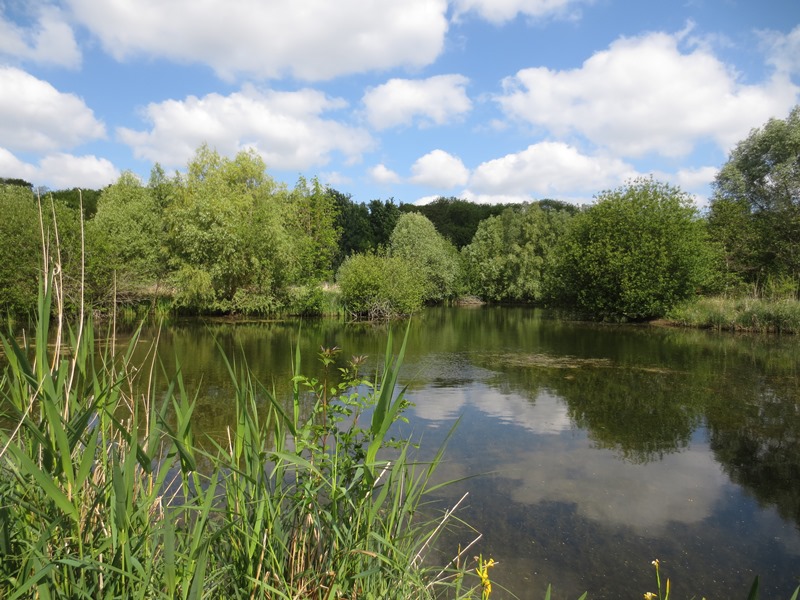 Sentier "Le Grand Rozeau" Châlette-sur-Loing Centre-Val de Loire