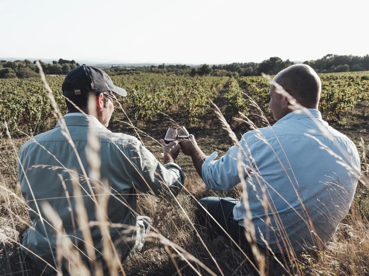 BALADES VIGNERONNES EN GRAND CARCASSONNE DOMAINE DE BRAU