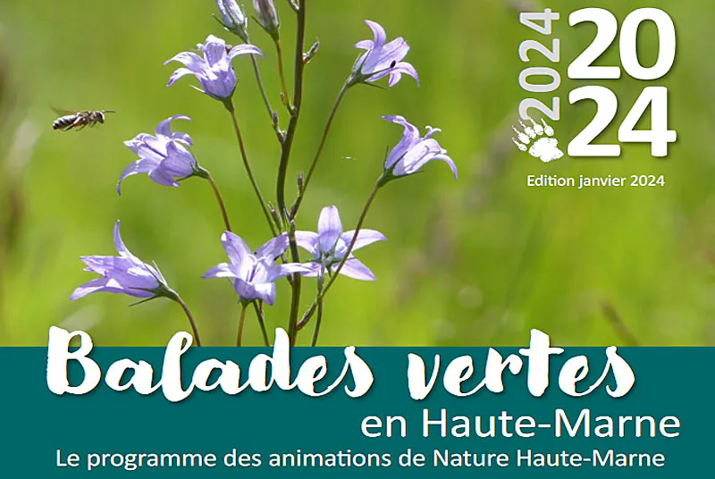 BALADES VERTES EN HAUTE MARNE ARBRES REMARQUABLES VRAIMENT ?