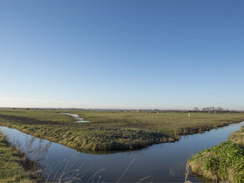 La passée aux canards Varaville Normandie