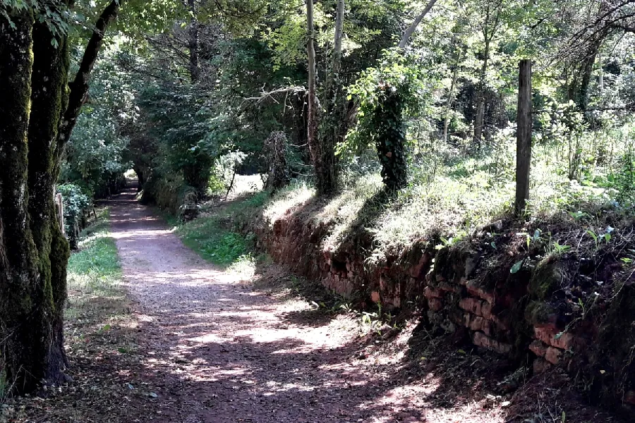 Balade autour de Marcillac Aller-retour entre Marcillac et Cougousse Marcillac-Vallon Occitanie