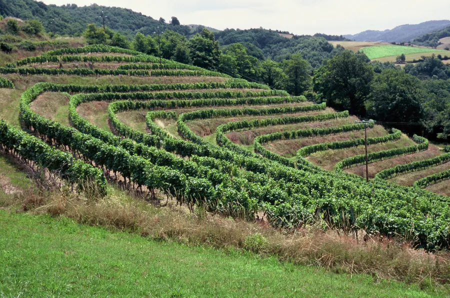 La route des vins Entraygues-sur-Truyère Le Fel Entraygues-sur-Truyère Occitanie