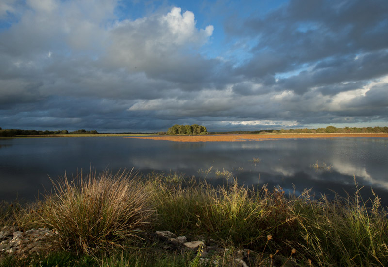 Balade à pied n°2 Rencontre avec les paysages de Brenne Rosnay Centre-Val de Loire