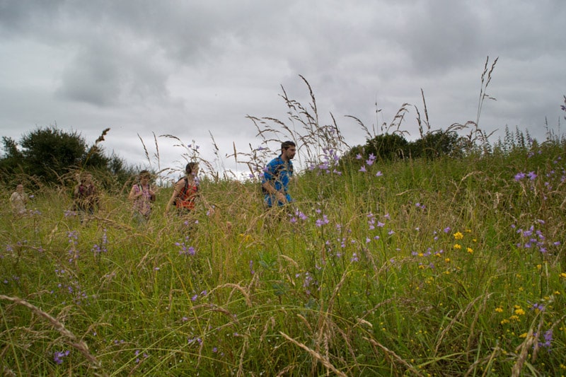 Balade à pied n°45- De vallons en brandes Nuret-le-Ferron Centre-Val de Loire