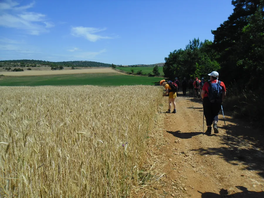 Randonnée: De Causses en Cévennes PR43 Nant Occitanie