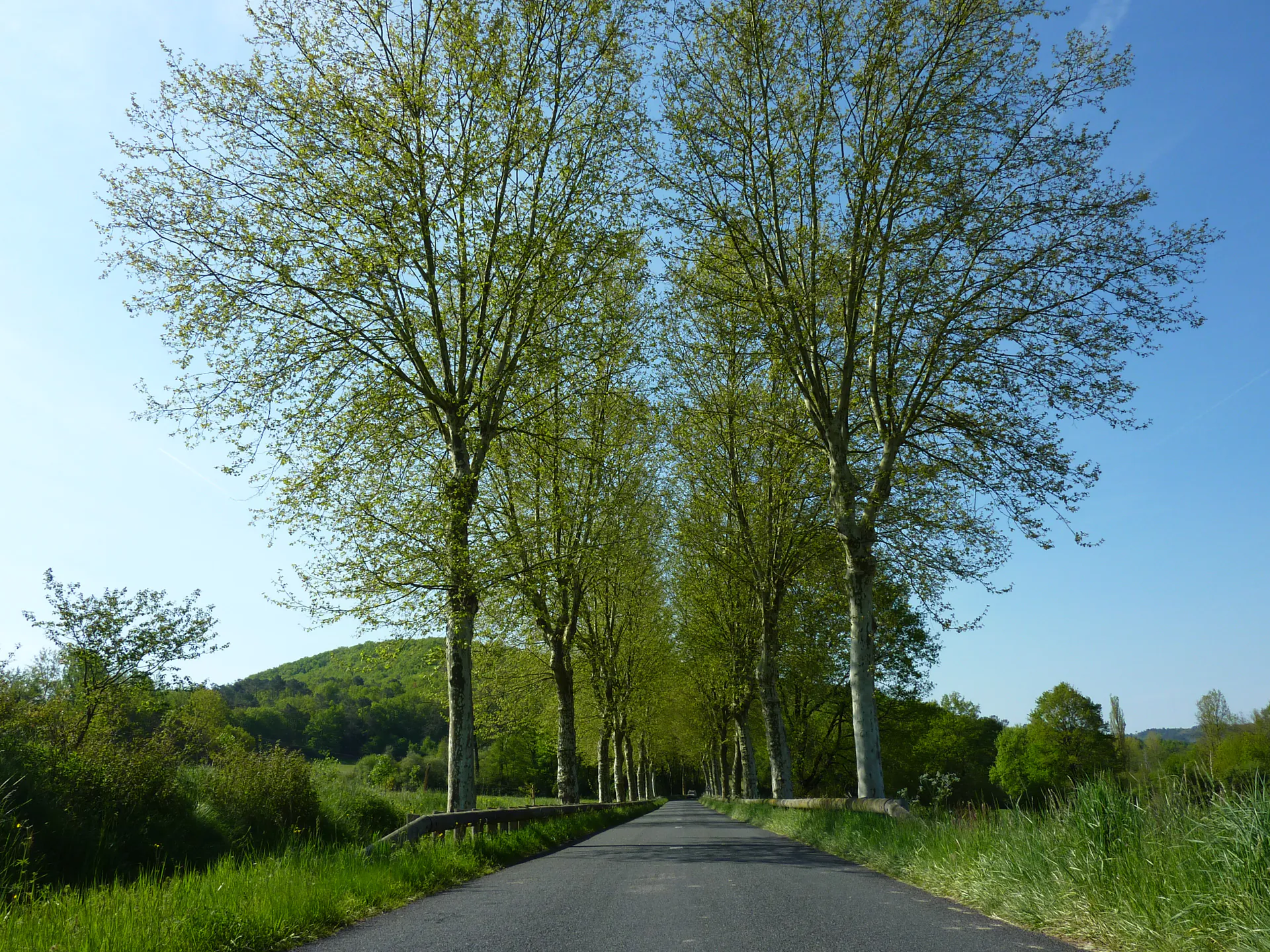 La Route des Arts Cazals Occitanie