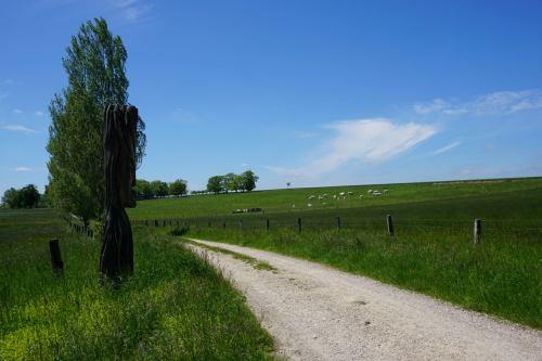 SENTIER DU MENU BOIS Juvaincourt Grand Est