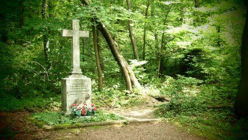 VISITE DU SITE HISTORIQUE DES HAUTEURS DE SPICHEREN Spicheren Grand Est