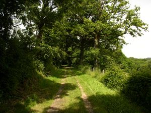 Sentier de mon Dilu Saint-Paul Nouvelle-Aquitaine