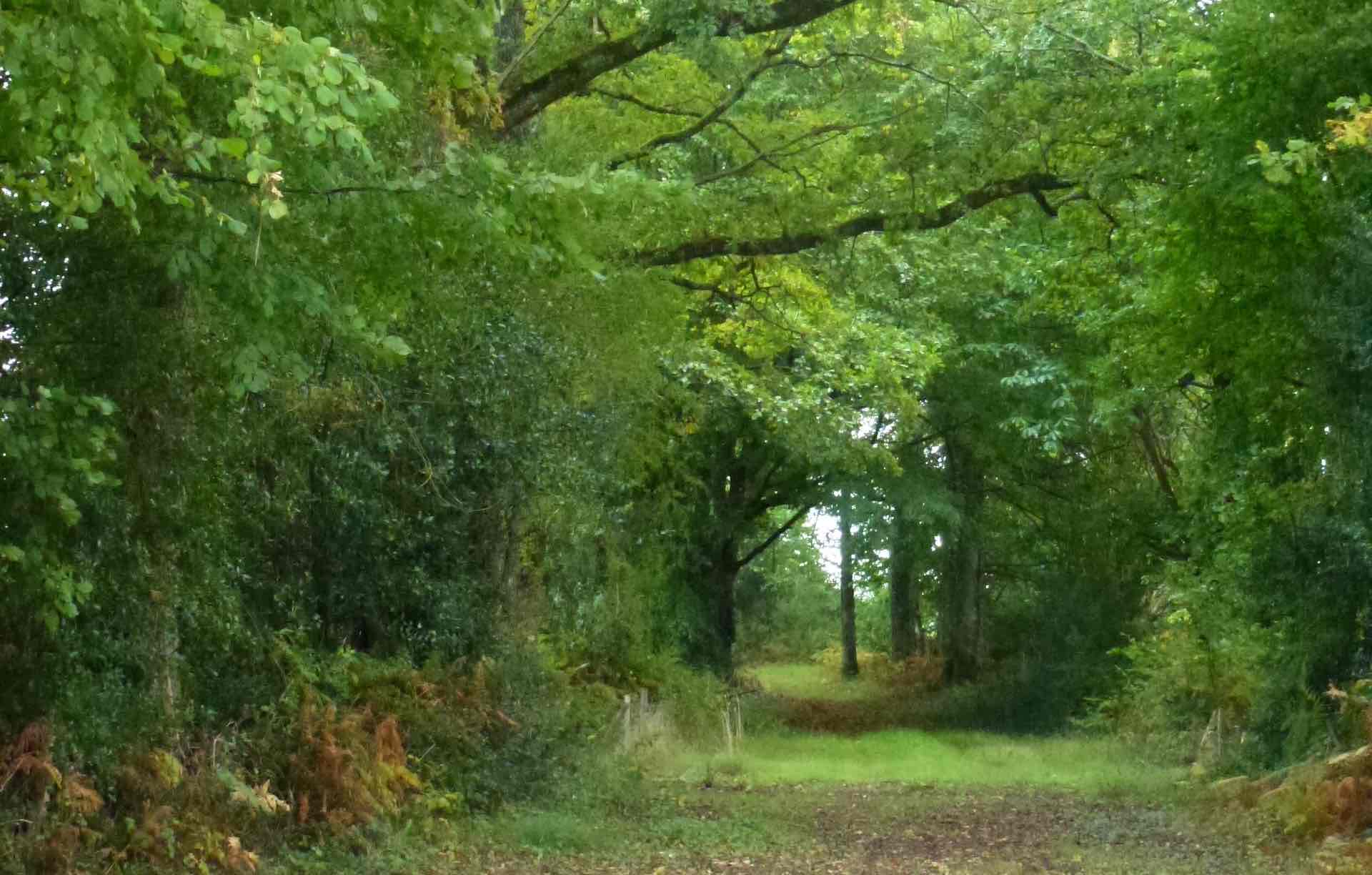 Chemin de Bonnefond Val d'Issoire Nouvelle-Aquitaine