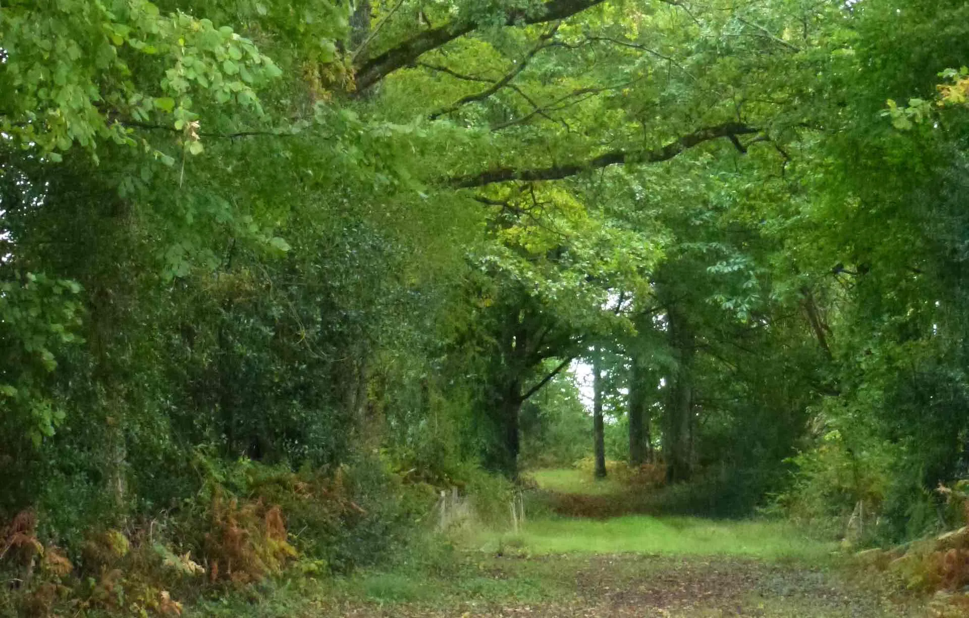 Chemin de Bonnefond Val d'Issoire Nouvelle-Aquitaine