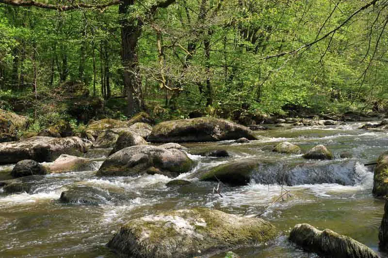 Sentier des Feutrières Saint-Junien Nouvelle-Aquitaine