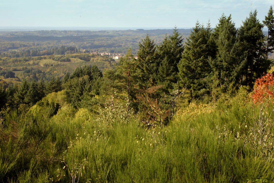 Le sentier des crêtes Compreignac Nouvelle-Aquitaine