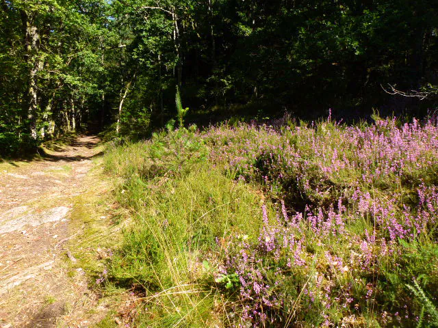 Circuit de Silord Razès Nouvelle-Aquitaine