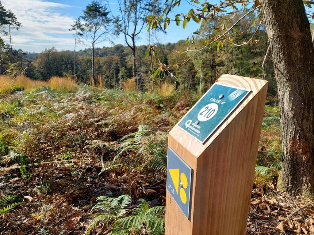 Sentier des deux Étangs Grandpré Grand Est