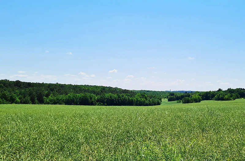 Le circuit panoramique Paulmy Centre-Val de Loire