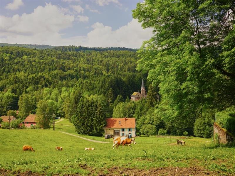 Le Col du Kreuzweg par la cascade Le Hohwald Grand Est Le Col du Kreuzweg par la cascade Le Hohwald Grand Est