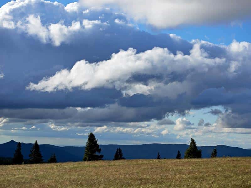 Circuit rando C08 Les hauts de Natzwiller Natzwiller Grand Est