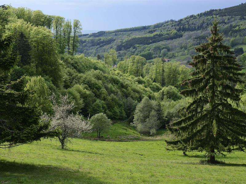 Circuit vélo H07 De Schirmeck à Saâles Schirmeck Grand Est
