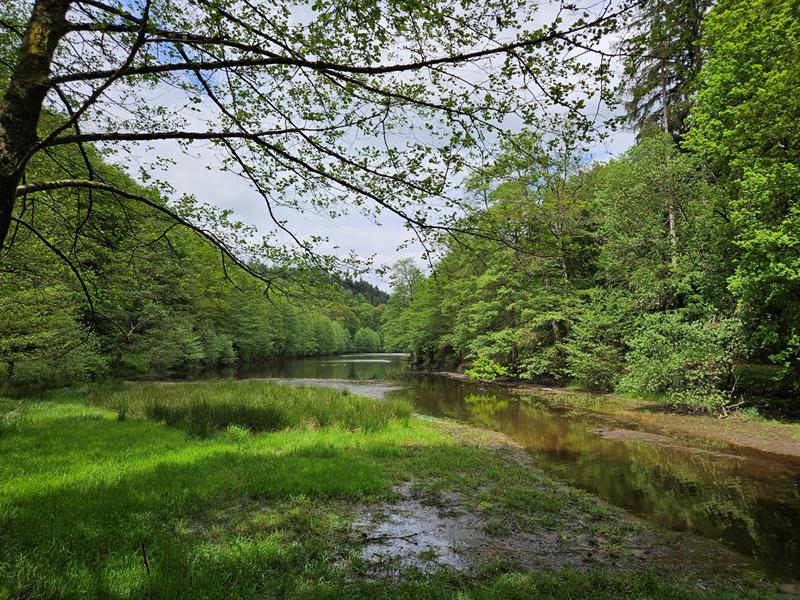 Sentier poétique René Char La Petite-Pierre Grand Est