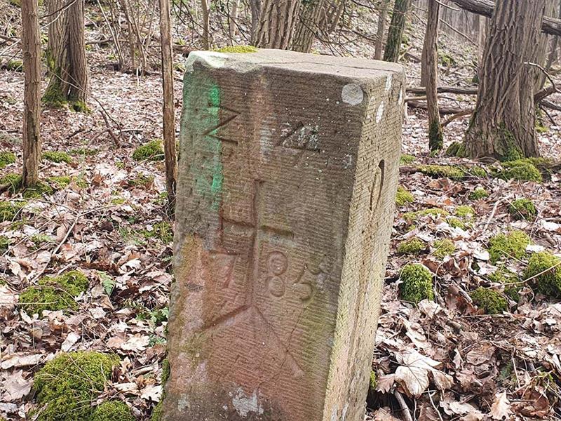 Randonnée Autour du Wurmberg parcours est Gresswiller Grand Est