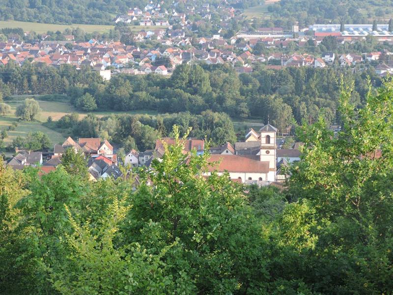 Randonnée de la Chapelle au Schiebenberg Dinsheim-sur-Bruche Grand Est