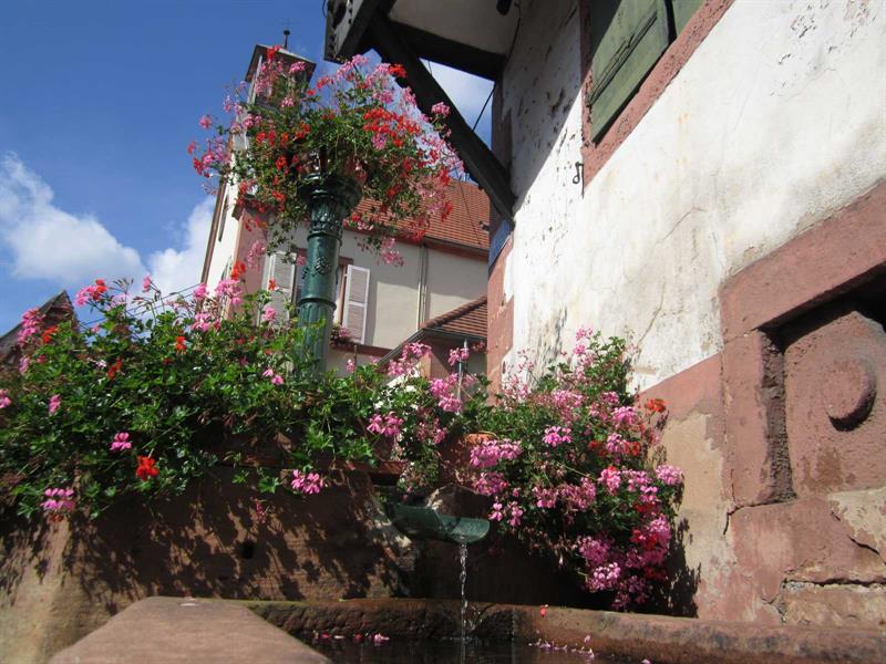 Au fil des stations vertes d’Oberbronn à Baerenthal Oberbronn Grand Est Au fil des stations vertes d'Oberbronn à Baerenthal Oberbronn Grand Est