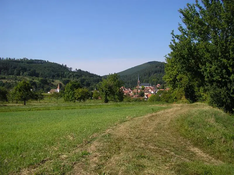 Circuit des Celtes Lembach Grand Est